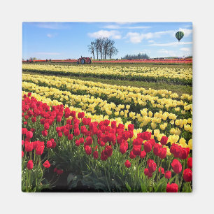Rotes und gelbes Tulip-Feld mit Heißluftballon Magnet
