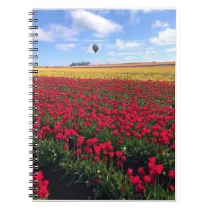 Rotes und gelbes Tulip-Feld mit Heißluftballon Notizblock
