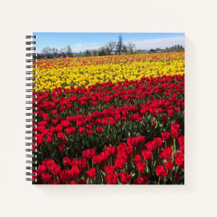 Rotes und gelbes Tulip-Feld Notizbuch