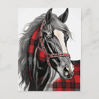 Rotes und Kariertes Schwarzes Pferd Postkarte
