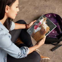 Rotes und weißes polnisches Hühnchen