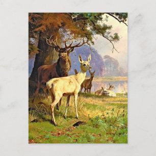 Rotes und weißes Reh nahe einem Waldteich Postkart Postkarte