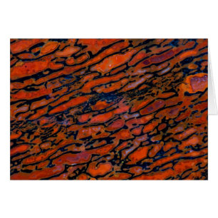 Rotes versteinertes Dinosaurierskelett