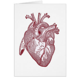 Rotes Vintages anatomisches Herz