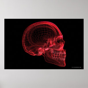 Rotes wireframe eines Schädels Poster