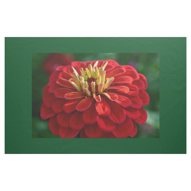 Rotes Zinnie Stoff (Yard (91,4 cm))