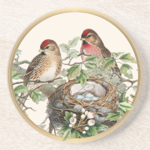 Rotespoll-Nest im Frühling Antik-Goldrahmen Getränkeuntersetzer