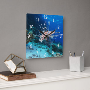 Rotfeuerfisch oder Pterois Miles, Riff-Fisch des O Quadratische Wanduhr