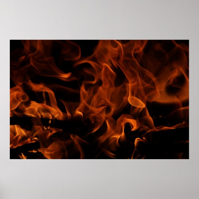 Rotfeuertapete Poster (Vorne)