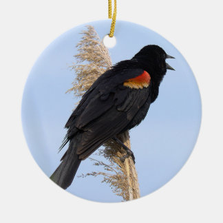 Rotflügel-Schwarzvogel-Schmuck Keramik Ornament