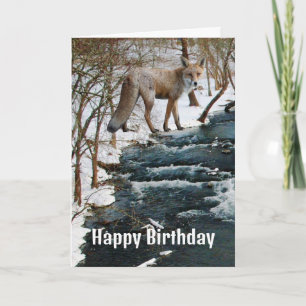 Rotfuchs am Creek Winter Geburtstag Karte