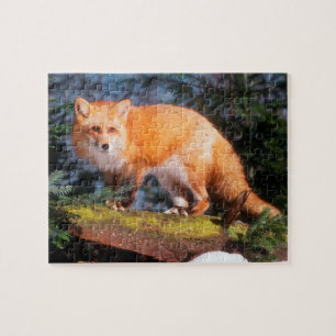 Rotfuchs auf einem Baumstamm