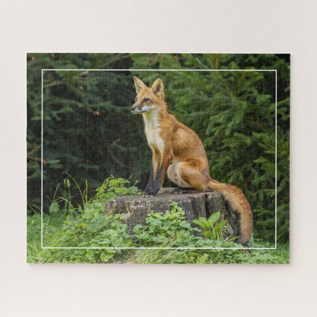 Rotfuchs auf einem Sockel (Horizontal)