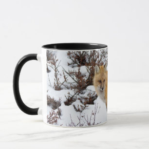Rotfuchs im Schnee im Winter Tasse
