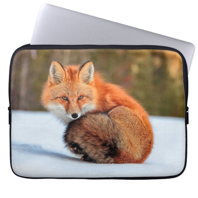 Rotfuchs im Schnee | Yukon Laptopschutzhülle (Vorderseite)