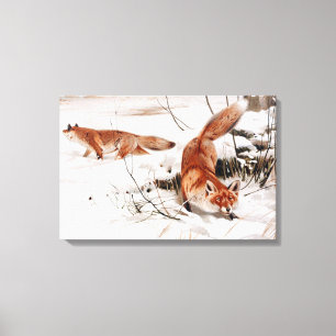 Rotfuchs im Schneewinter (von Wilhelm Kuhnert) Leinwanddruck