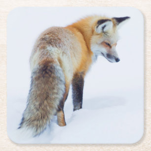 Rotfuchs im Winter Rechteckiger Pappuntersetzer