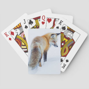 Rotfuchs im Winter Spielkarten