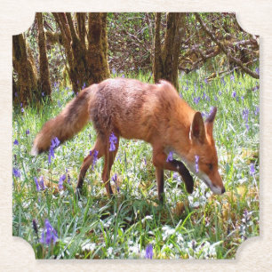 Rotfuchs in den Blauglocken Ländliche Waldlandscha Untersetzer