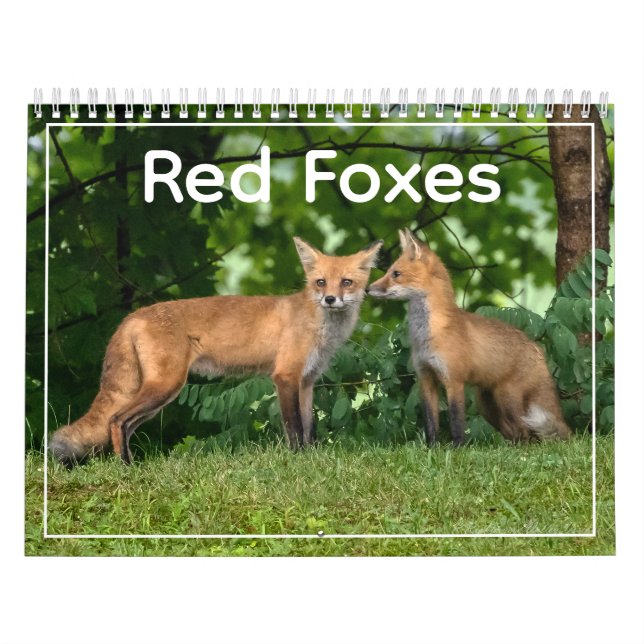 Rotfuchs-Kalender Kalender (Titelbild)