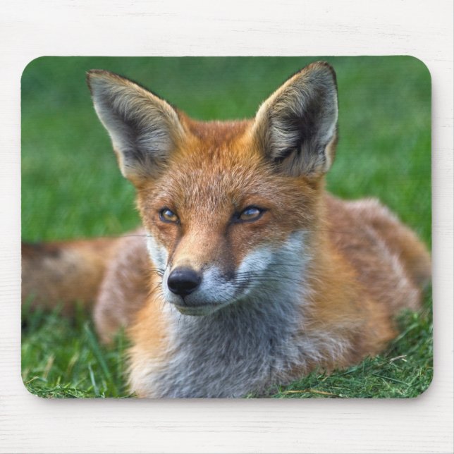 Rotfuchs-Mauspad Mousepad (Vorne)