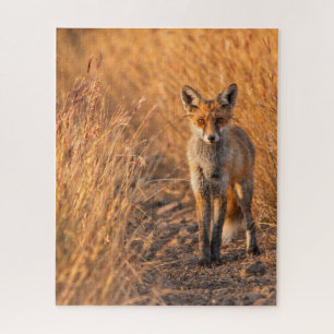 Rotfuchs-Naturinspiriertes-Wildlife-Design