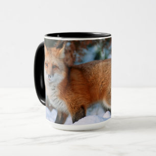 Rotfuchs Schnee im Winter, Montana Tasse