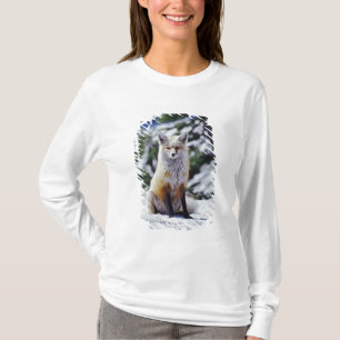 Rotfuchs sitzt auf Schneebank, Vulpes, Berg T-Shirt