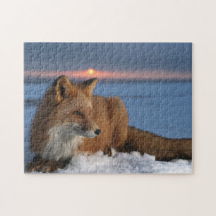 Rotfuchs-Spielpuzzle