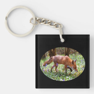 Rotfuchs unter Blauglocken Wald Frühlings Natur Ku Schlüsselanhänger