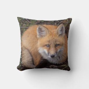 Rotfuchs, Vulpes vulpes, in Herbstfarben Kissen