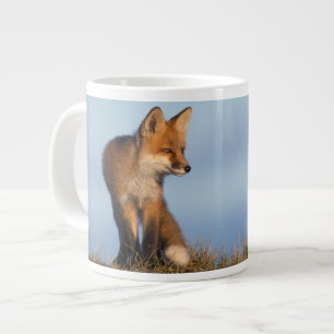 Rotfuchs, Vulpes vulpes Jumbo-Tasse