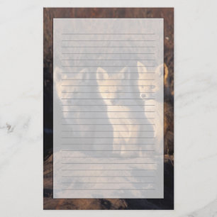 Rotfuchs, Vulpes vulpes, Junge Briefpapier