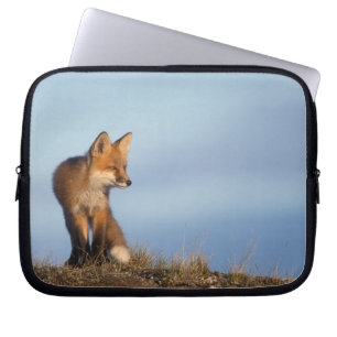 Rotfuchs, Vulpes vulpes Laptopschutzhülle