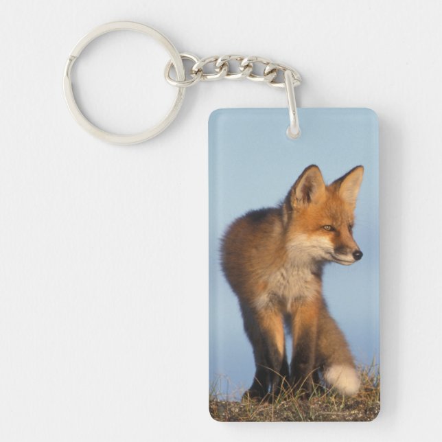 Rotfuchs, Vulpes vulpes Schlüsselanhänger (Vorderseite)