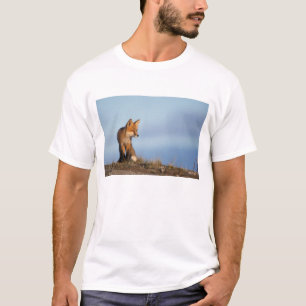 Rotfuchs, Vulpes vulpes T-Shirt