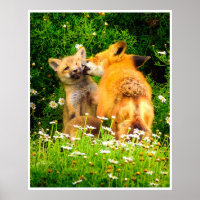 Rotfuchs-Wandbild | Wildlife-Wiesen-Druck