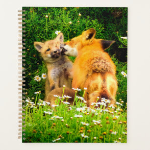 Rotfuchs-Welpen Planer Waldtiere-Kunst