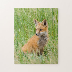 Rotfuchsjunges im Gras nahe dem Bau