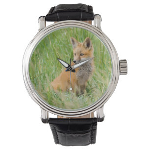 Rotfuchsjunges im Gras nahe dem Bau Armbanduhr
