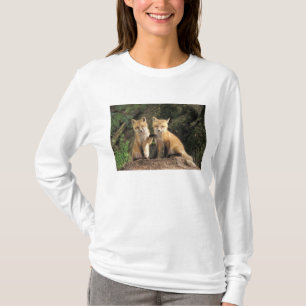 Rotfuchsjunges vor dem Bau (Vulpes vulpes) T-Shirt