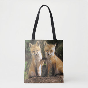 Rotfuchsjunges vor dem Bau Vulpes vulpes Tasche