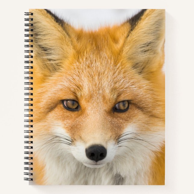 Rotfuchsporträt Notizbuch (Vorderseite)