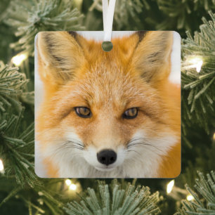 Rotfuchsporträt Ornament Aus Metall