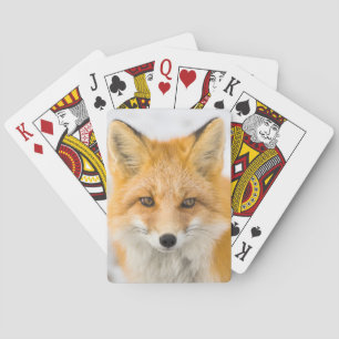 Rotfuchsporträt Spielkarten