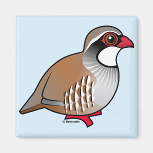 Rotfüßiges Rebhuhn Magnet