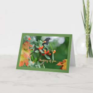 Rotgeflügelte Amsel-Gruß-Karte Karte