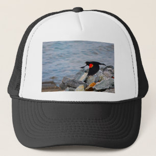 Rotgeflügelte Amsel - Hut Truckerkappe