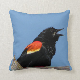 Rotgeflügelte Amsel Kissen