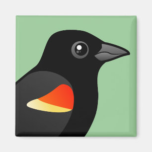 Rotgeflügelte Amsel Magnet